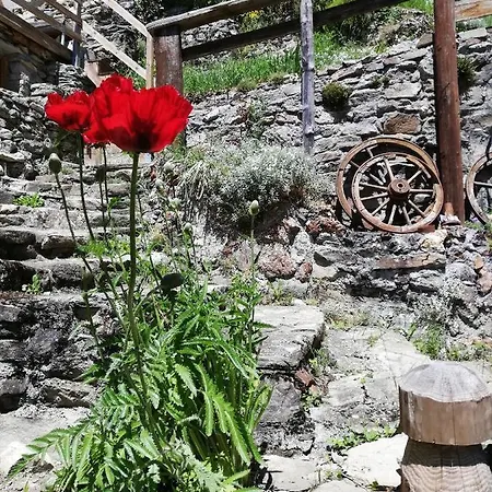 Maison De L'epine -spa- Versant Du Soleil *