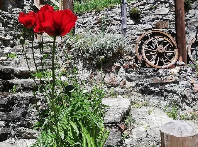 Maison De L'epine -spa- Versant Du Soleil *